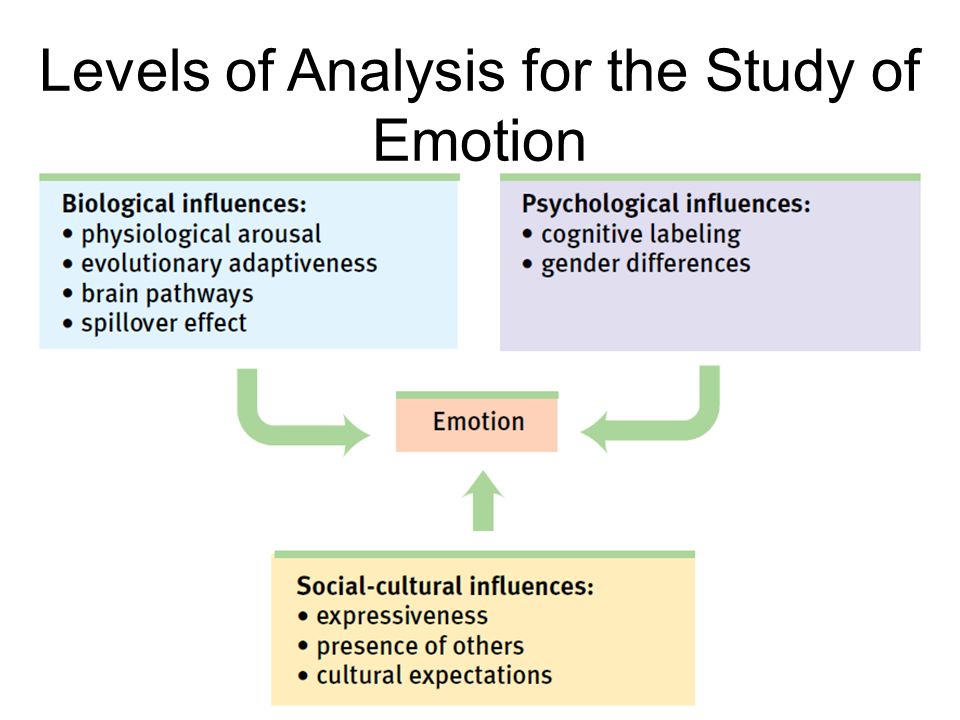 Critical Thinking and Emotional Intelligence